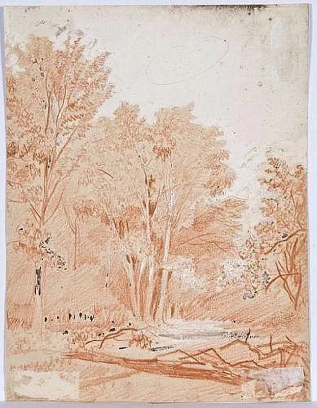 Léon Riesener - Studio di alberi